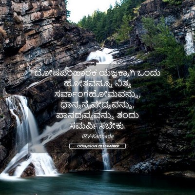 Picture 05 - ಅರಣ್ಯಕಾಂಡ 29:16 KANIRV - ದೋಷಪರಿಹಾರಕ - Bible Verse Picture