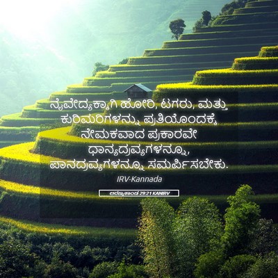 Picture 05 - ಅರಣ್ಯಕಾಂಡ 29:21 KANIRV - ನೈವೇದ್ಯಕ್ಕಾಗಿ - Bible Verse Picture