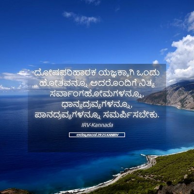Picture 05 - ಅರಣ್ಯಕಾಂಡ 29:25 KANIRV - ದೋಷಪರಿಹಾರಕ - Bible Verse Picture