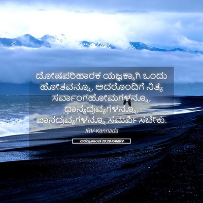 Picture 05 - ಅರಣ್ಯಕಾಂಡ 29:28 KANIRV - ದೋಷಪರಿಹಾರಕ - Bible Verse Picture