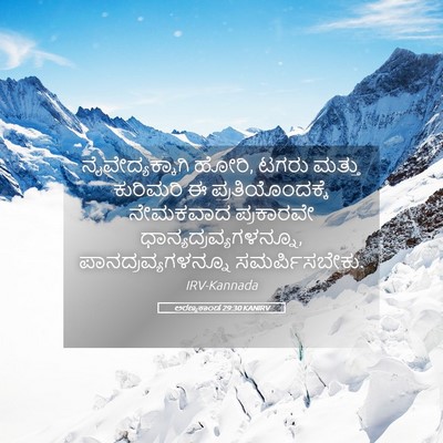 Picture 05 - ಅರಣ್ಯಕಾಂಡ 29:30 KANIRV - ನೈವೇದ್ಯಕ್ಕಾಗಿ - Bible Verse Picture