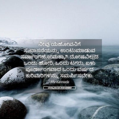 Picture 05 - ಅರಣ್ಯಕಾಂಡ 29:8 KANIRV - ನೀವು ಯೆಹೋವನಿಗೆ - Bible Verse Picture