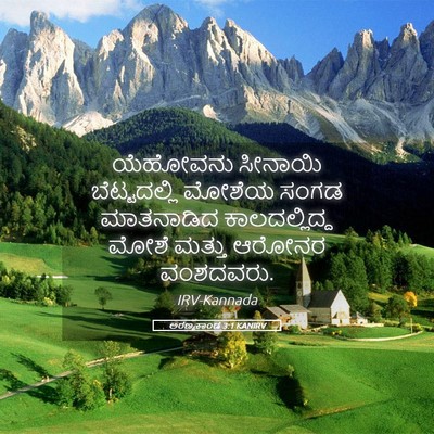 Picture 05 - ಅರಣ್ಯಕಾಂಡ 3:1 KANIRV - ಯೆಹೋವನು ಸೀನಾಯಿ - Bible Verse Picture