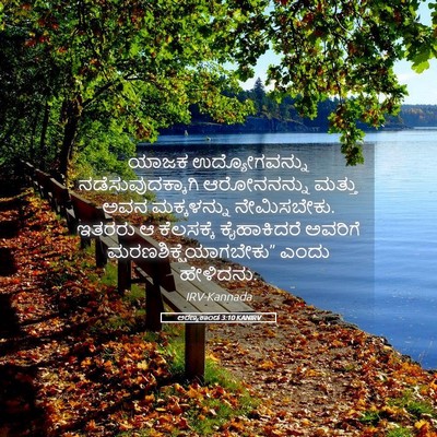Picture 05 - ಅರಣ್ಯಕಾಂಡ 3:10 KANIRV - ಯಾಜಕ ಉದ್ಯೋಗವನ್ನು - Bible Verse Picture