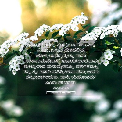 Picture 05 - ಅರಣ್ಯಕಾಂಡ 3:13 KANIRV - ಇಸ್ರಾಯೇಲರಲ್ಲಿ - Bible Verse Picture