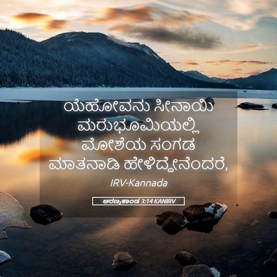 Picture 05 - ಅರಣ್ಯಕಾಂಡ 3:14 KANIRV - ಯೆಹೋವನು ಸೀನಾಯಿ - Bible Verse Picture