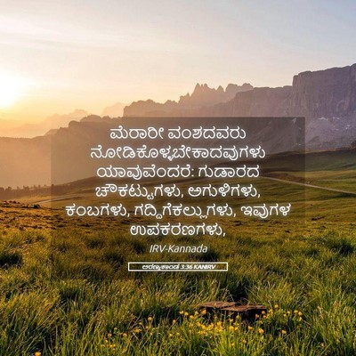 Picture 05 - ಅರಣ್ಯಕಾಂಡ 3:36 KANIRV - ಮೆರಾರೀ ವಂಶದವರು - Bible Verse Picture