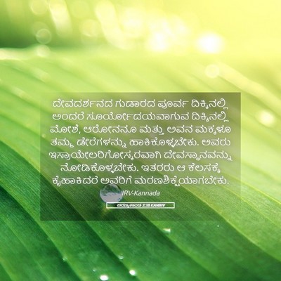 Picture 05 - ಅರಣ್ಯಕಾಂಡ 3:38 KANIRV - ದೇವದರ್ಶನದ ಗುಡಾರದ - Bible Verse Picture
