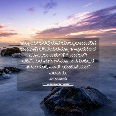 Picture 05 - ಅರಣ್ಯಕಾಂಡ 3:41 KANIRV - ಇಸ್ರಾಯೇಲರಲ್ಲಿರುವ - Bible Verse Picture