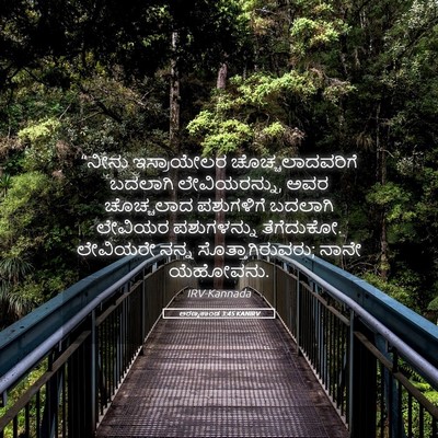 Picture 05 - ಅರಣ್ಯಕಾಂಡ 3:45 KANIRV - “ನೀನು ಇಸ್ರಾಯೇಲರ - Bible Verse Picture