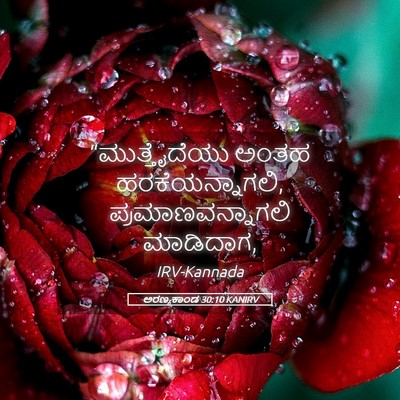 Picture 05 - ಅರಣ್ಯಕಾಂಡ 30:10 KANIRV - “ಮುತ್ತೈದೆಯು ಅಂತಹ - Bible Verse Picture