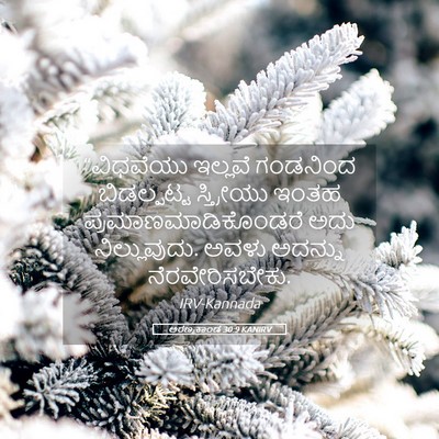 Picture 05 - ಅರಣ್ಯಕಾಂಡ 30:9 KANIRV - “ವಿಧವೆಯು ಇಲ್ಲವೆ - Bible Verse Picture