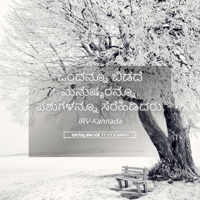 Picture 05 - ಅರಣ್ಯಕಾಂಡ 31:11 KANIRV - ಒಂದನ್ನೂ ಬಿಡದೆ - Bible Verse Picture