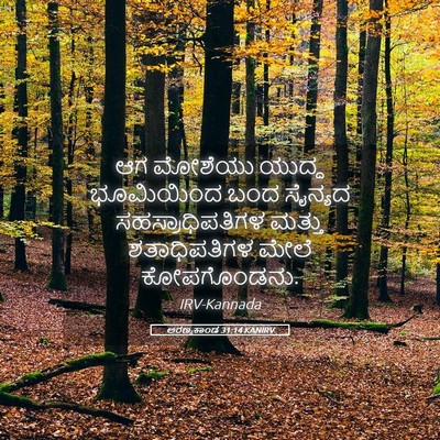 Picture 05 - ಅರಣ್ಯಕಾಂಡ 31:14 KANIRV - ಆಗ ಮೋಶೆಯು ಯುದ್ಧ - Bible Verse Picture