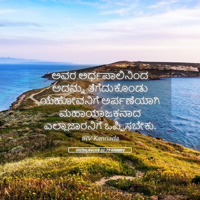 Picture 05 - ಅರಣ್ಯಕಾಂಡ 31:29 KANIRV - ಅವರ ಅರ್ಧಪಾಲಿನಿಂದ - Bible Verse Picture