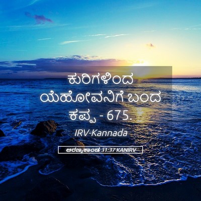 Picture 05 - ಅರಣ್ಯಕಾಂಡ 31:37 KANIRV - ಕುರಿಗಳಿಂದ - Bible Verse Picture