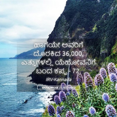 Picture 05 - ಅರಣ್ಯಕಾಂಡ 31:38 KANIRV - ಹಾಗೆಯೇ ಅವರಿಗೆ - Bible Verse Picture