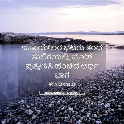 Picture 05 - ಅರಣ್ಯಕಾಂಡ 31:42 KANIRV - ಇಸ್ರಾಯೇಲರ ಭಟರು - Bible Verse Picture