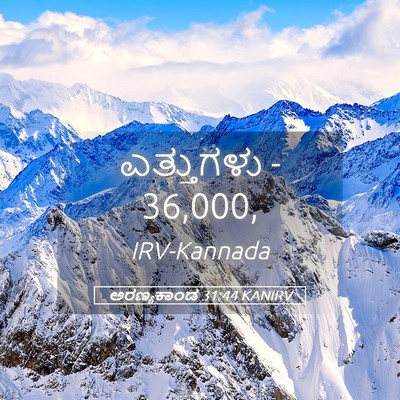 Picture 05 - ಅರಣ್ಯಕಾಂಡ 31:44 KANIRV - ಎತ್ತುಗಳು - - Bible Verse Picture