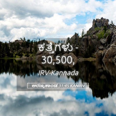 Picture 05 - ಅರಣ್ಯಕಾಂಡ 31:45 KANIRV - ಕತ್ತೆಗಳು - - Bible Verse Picture