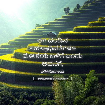 Picture 05 - ಅರಣ್ಯಕಾಂಡ 31:48 KANIRV - ಆಗ ದಂಡಿನ - Bible Verse Picture