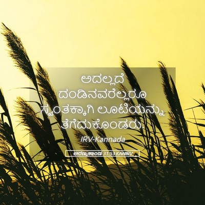 Picture 05 - ಅರಣ್ಯಕಾಂಡ 31:53 KANIRV - ಅದಲ್ಲದೆ - Bible Verse Picture