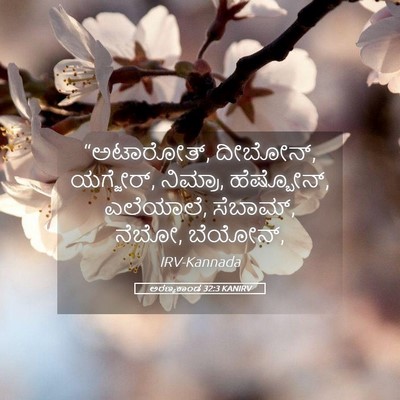 Picture 05 - ಅರಣ್ಯಕಾಂಡ 32:3 KANIRV - “ಅಟಾರೋತ್, ದೀಬೋನ್, - Bible Verse Picture