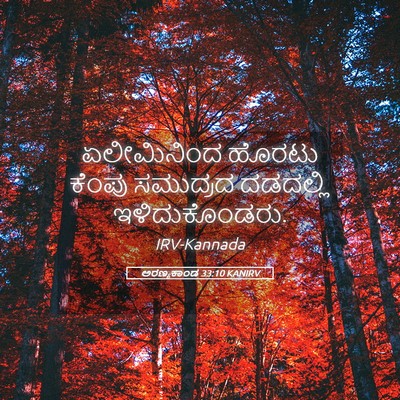 Picture 05 - ಅರಣ್ಯಕಾಂಡ 33:10 KANIRV - ಏಲೀಮಿನಿಂದ ಹೊರಟು - Bible Verse Picture