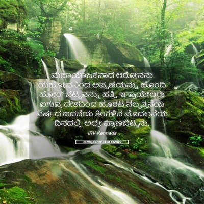 Picture 05 - ಅರಣ್ಯಕಾಂಡ 33:38 KANIRV - ಮಹಾಯಾಜಕನಾದ ಆರೋನನು - Bible Verse Picture