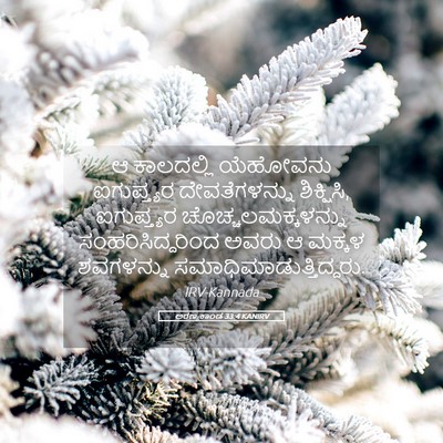 Picture 05 - ಅರಣ್ಯಕಾಂಡ 33:4 KANIRV - ಆ ಕಾಲದಲ್ಲಿ - Bible Verse Picture