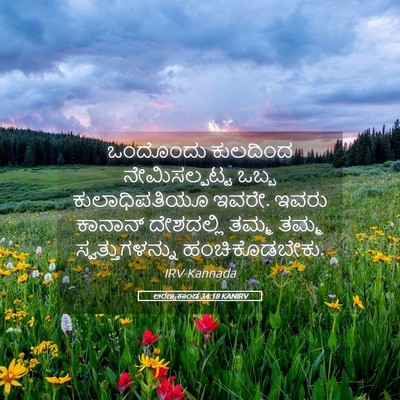Picture 05 - ಅರಣ್ಯಕಾಂಡ 34:18 KANIRV - ಒಂದೊಂದು ಕುಲದಿಂದ - Bible Verse Picture