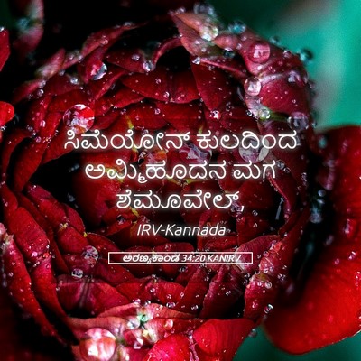 Picture 05 - ಅರಣ್ಯಕಾಂಡ 34:20 KANIRV - ಸಿಮೆಯೋನ್ ಕುಲದಿಂದ - Bible Verse Picture