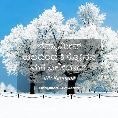 Picture 05 - ಅರಣ್ಯಕಾಂಡ 34:21 KANIRV - ಬೆನ್ಯಾಮೀನ್ - Bible Verse Picture