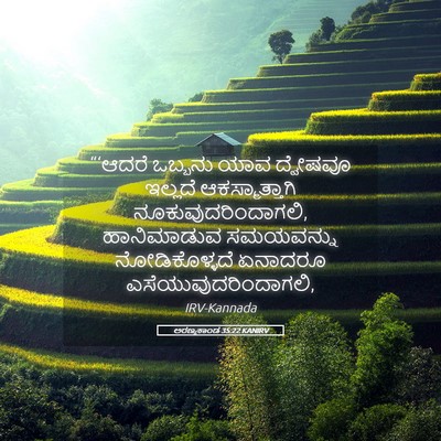 Picture 05 - ಅರಣ್ಯಕಾಂಡ 35:22 KANIRV - “‘ಆದರೆ ಒಬ್ಬನು ಯಾವ - Bible Verse Picture