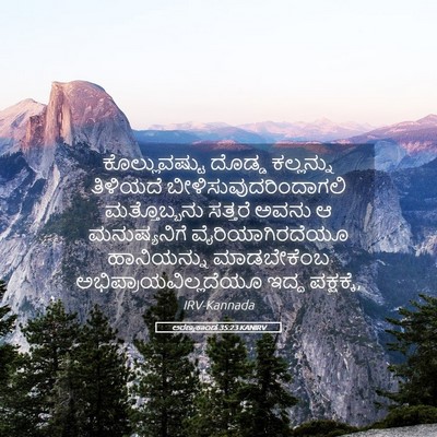 Picture 05 - ಅರಣ್ಯಕಾಂಡ 35:23 KANIRV - ಕೊಲ್ಲುವಷ್ಟು ದೊಡ್ಡ - Bible Verse Picture