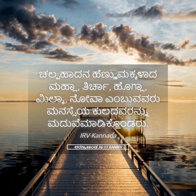 Picture 05 - ಅರಣ್ಯಕಾಂಡ 36:11 KANIRV - ಚಲ್ಪಹಾದನ - Bible Verse Picture