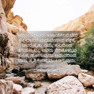 Picture 05 - ಅರಣ್ಯಕಾಂಡ 36:3 KANIRV - ಹೀಗಿರಲು ಅವರು - Bible Verse Picture