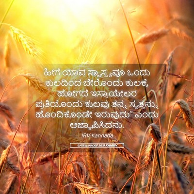 Picture 05 - ಅರಣ್ಯಕಾಂಡ 36:9 KANIRV - ಹೀಗೆ ಯಾವ - Bible Verse Picture