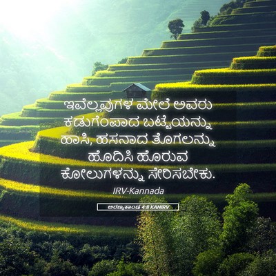 Picture 05 - ಅರಣ್ಯಕಾಂಡ 4:8 KANIRV - ಇವೆಲ್ಲವುಗಳ ಮೇಲೆ - Bible Verse Picture
