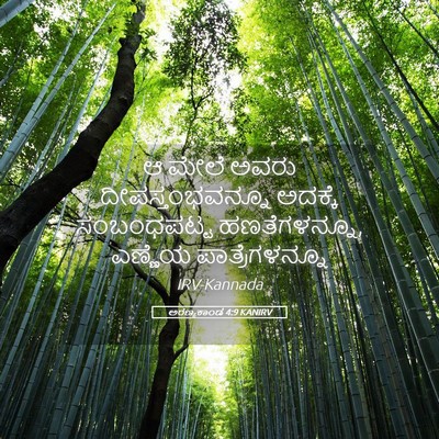Picture 05 - ಅರಣ್ಯಕಾಂಡ 4:9 KANIRV - ಆ ಮೇಲೆ ಅವರು - Bible Verse Picture