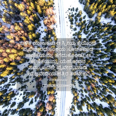 Picture 05 - ಅರಣ್ಯಕಾಂಡ 5:25 KANIRV - ಬಳಿಕ ಯಾಜಕನು ಆ - Bible Verse Picture
