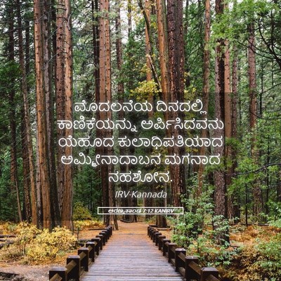 Picture 05 - ಅರಣ್ಯಕಾಂಡ 7:12 KANIRV - ಮೊದಲನೆಯ ದಿನದಲ್ಲಿ - Bible Verse Picture