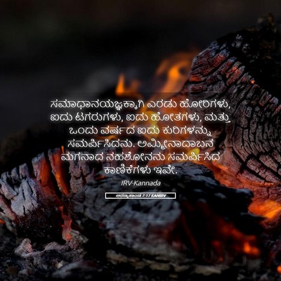 Picture 05 - ಅರಣ್ಯಕಾಂಡ 7:17 KANIRV - ಸಮಾಧಾನಯಜ್ಞಕ್ಕಾಗಿ - Bible Verse Picture