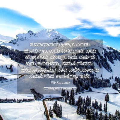 Picture 05 - ಅರಣ್ಯಕಾಂಡ 7:29 KANIRV - ಸಮಾಧಾನಯಜ್ಞಕ್ಕಾಗಿ - Bible Verse Picture