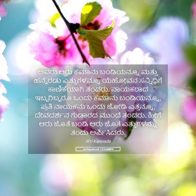 Picture 05 - ಅರಣ್ಯಕಾಂಡ 7:3 KANIRV - ಅವರು ಆರು ಕಮಾನು - Bible Verse Picture