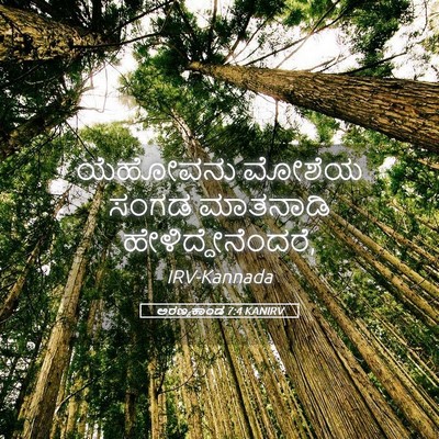 Picture 05 - ಅರಣ್ಯಕಾಂಡ 7:4 KANIRV - ಯೆಹೋವನು ಮೋಶೆಯ - Bible Verse Picture