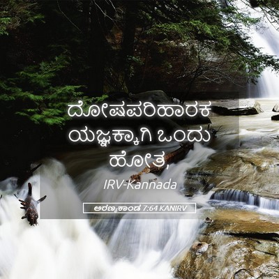 Picture 05 - ಅರಣ್ಯಕಾಂಡ 7:64 KANIRV - ದೋಷಪರಿಹಾರಕ - Bible Verse Picture