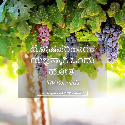 Picture 05 - ಅರಣ್ಯಕಾಂಡ 7:82 KANIRV - ದೋಷಪರಿಹಾರಕ - Bible Verse Picture