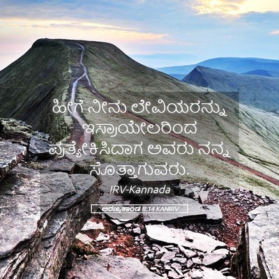 Picture 05 - ಅರಣ್ಯಕಾಂಡ 8:14 KANIRV - ಹೀಗೆ ನೀನು - Bible Verse Picture
