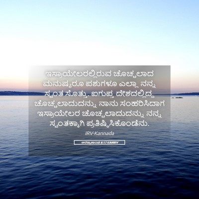 Picture 05 - ಅರಣ್ಯಕಾಂಡ 8:17 KANIRV - ಇಸ್ರಾಯೇಲರಲ್ಲಿರುವ - Bible Verse Picture